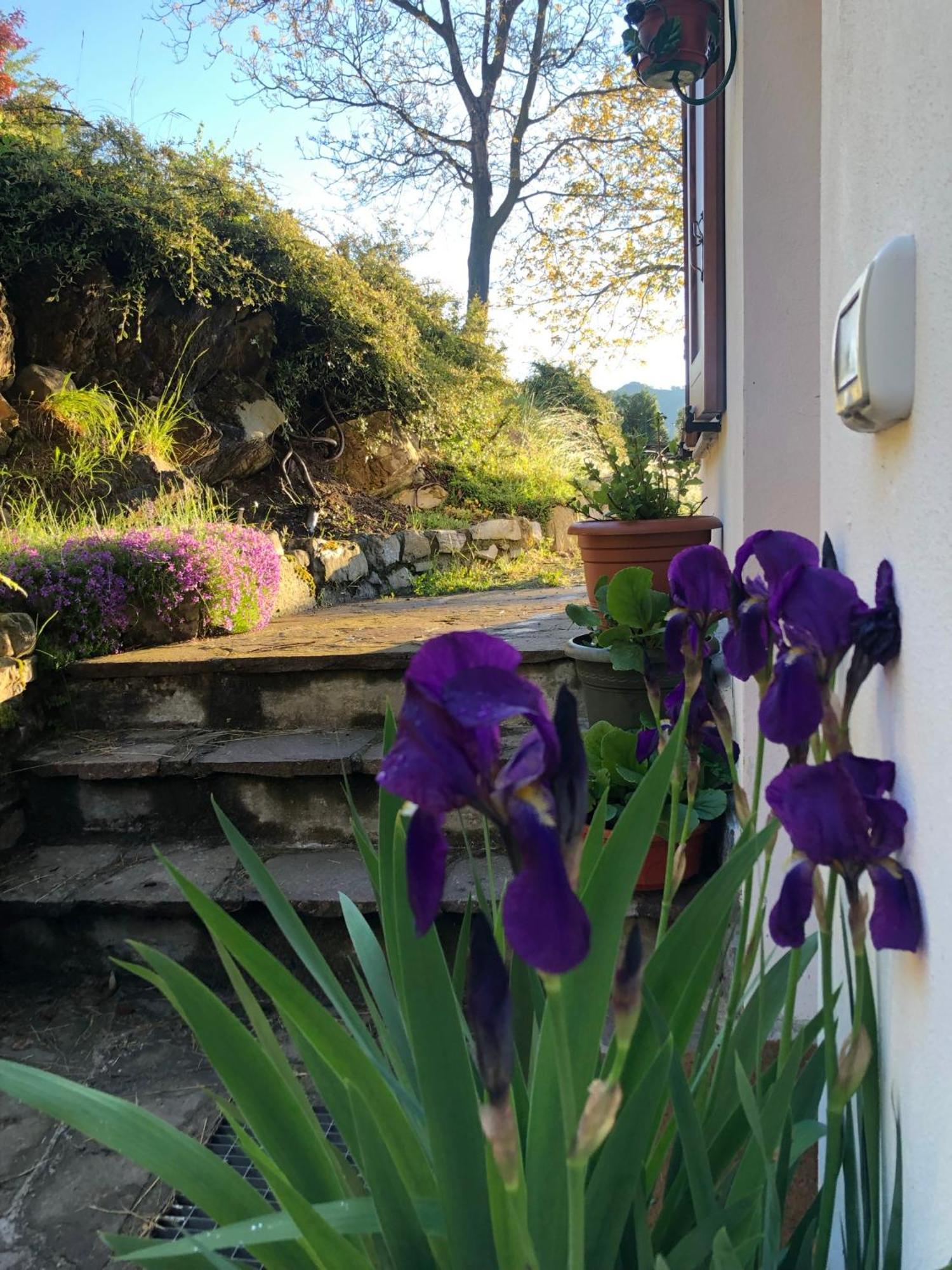 House For Relaxing Holiday Villa Casasco Intelvi Esterno foto